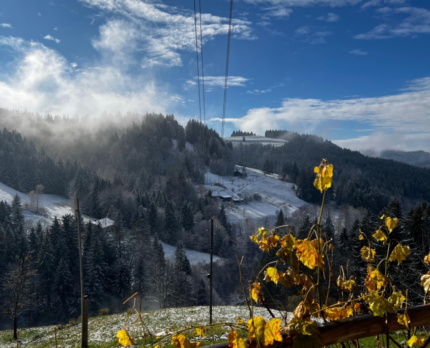 PHOTO-2025-09-15-19-46-02